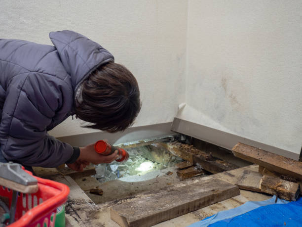 Best Post-Remediation Verification Testing  in Golden Glades, FL